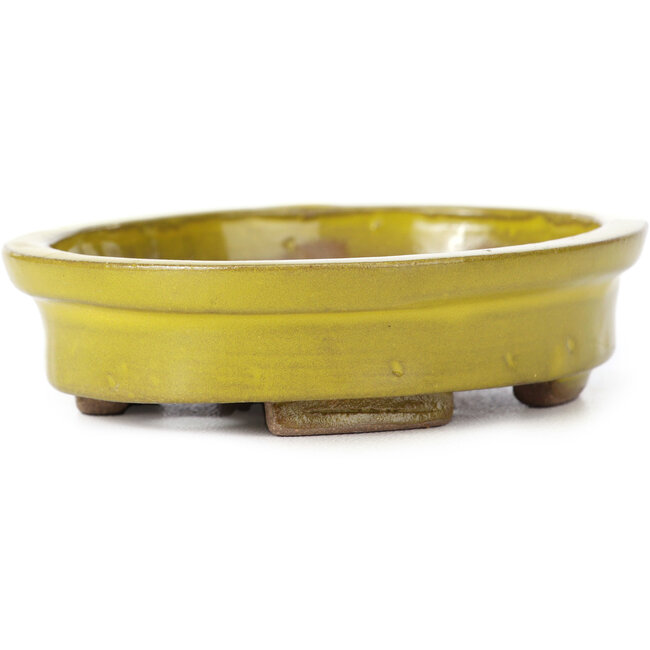 Vaso bonsai giallo ovale di Seto - 100 x 85 x 25 mm