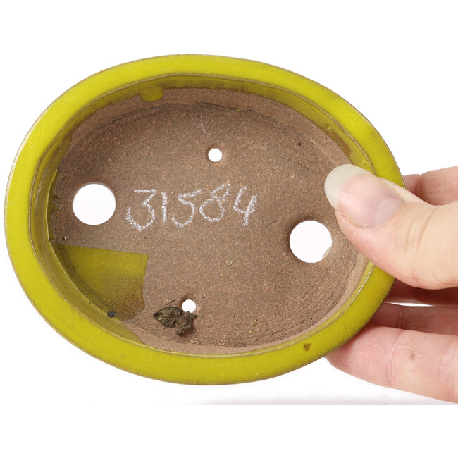 Maceta de bonsái amarilla ovalada de Seto - 100 x 85 x 25 mm