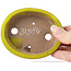 Pot à bonsaï ovale jaune par Seto - 100 x 85 x 25 mm