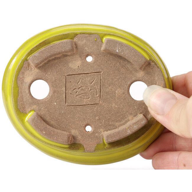 Oval yellow bonsai pot by Seto - 100 x 85 x 25 mm