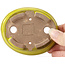Maceta de bonsái amarilla ovalada de Seto - 100 x 85 x 25 mm