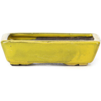 Seto 85 mm rectangular yellow bonsai pot by Seto, Japan