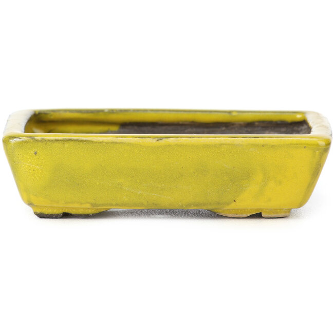 Rectangular yellow bonsai pot by Seto - 85 x 60 x 25 mm