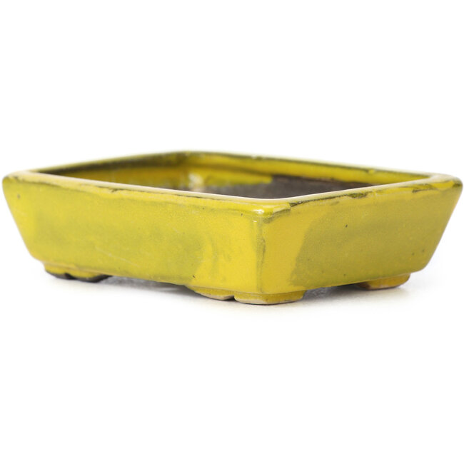 Vaso bonsai giallo rettangolare di Seto - 85 x 60 x 25 mm