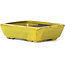 Pot à bonsaï rectangulaire jaune par Seto - 85 x 60 x 25 mm