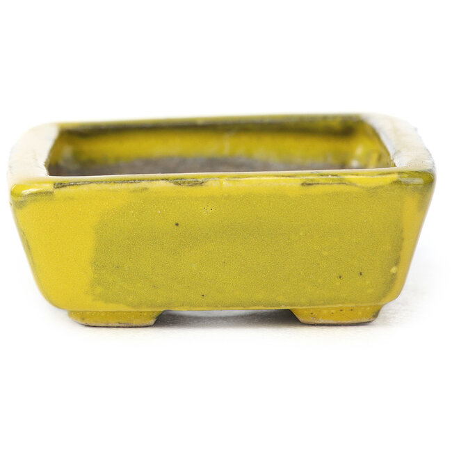 Vaso bonsai giallo rettangolare di Seto - 85 x 60 x 25 mm