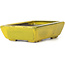 Pot à bonsaï rectangulaire jaune par Seto - 85 x 60 x 25 mm