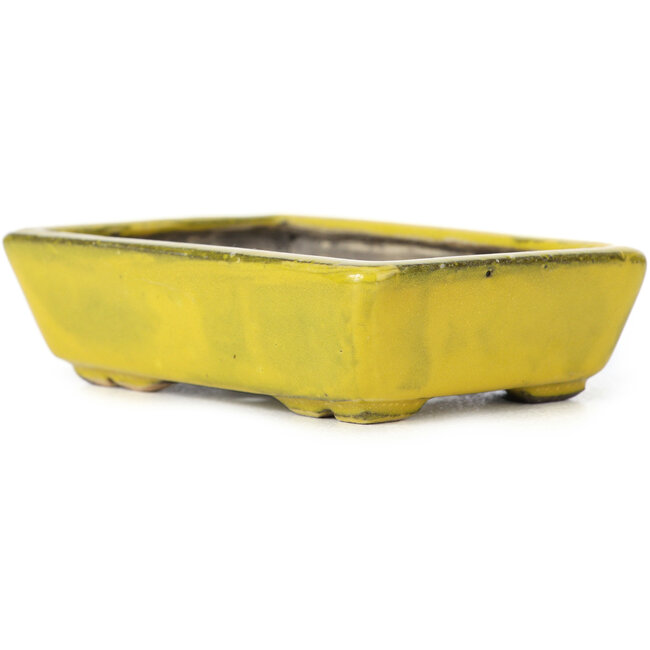 Rectangular yellow bonsai pot by Seto - 85 x 60 x 25 mm