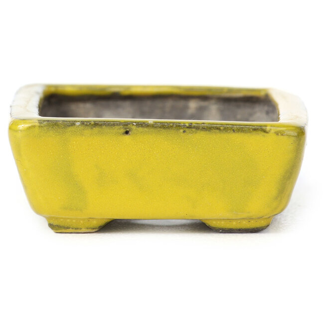 Rechteckige gelbe Bonsaischale von Seto - 85 x 60 x 25 mm