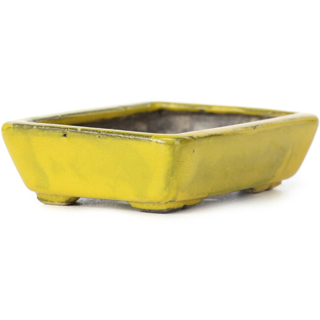 Maceta de bonsái amarilla rectangular de Seto - 85 x 60 x 25 mm
