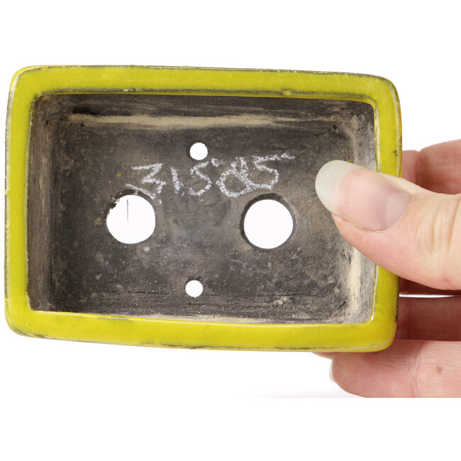 Maceta de bonsái amarilla rectangular de Seto - 85 x 60 x 25 mm