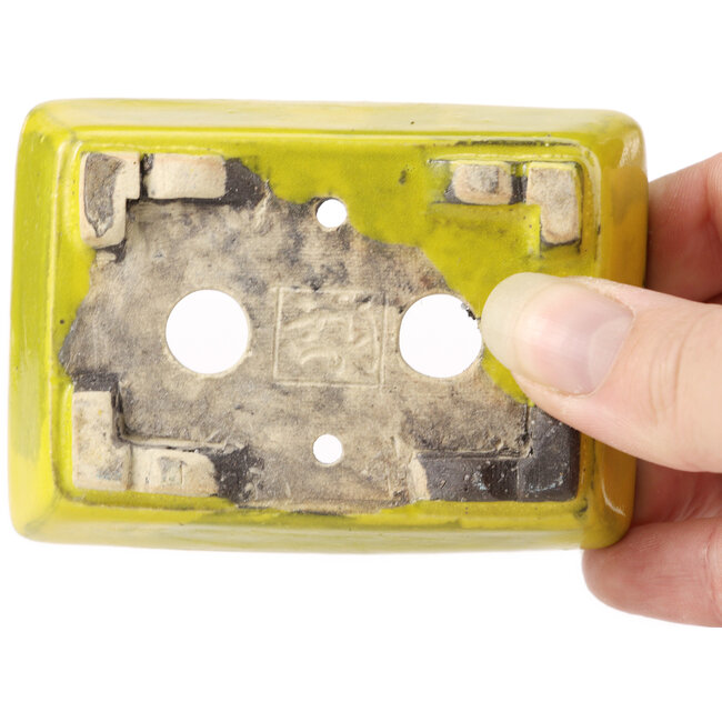 Maceta de bonsái amarilla rectangular de Seto - 85 x 60 x 25 mm