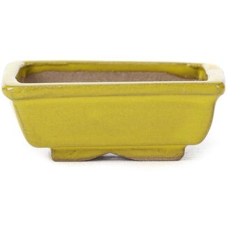 Seto Maceta de bonsái amarilla rectangular de 80 mm de Seto, Japón