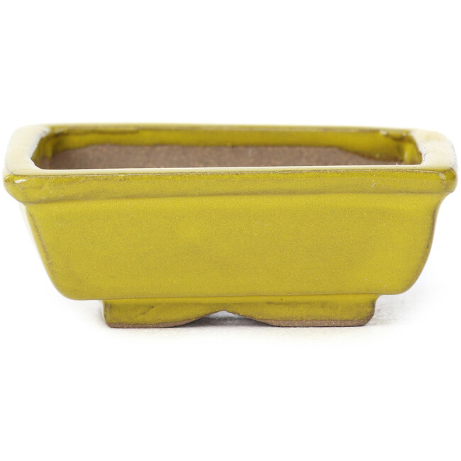 Pot à bonsaï rectangulaire jaune par Seto - 80 x 65 x 30 mm