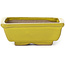 Pot à bonsaï rectangulaire jaune par Seto - 80 x 65 x 30 mm
