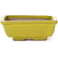 Rectangular yellow bonsai pot by Seto - 80 x 65 x 30 mm