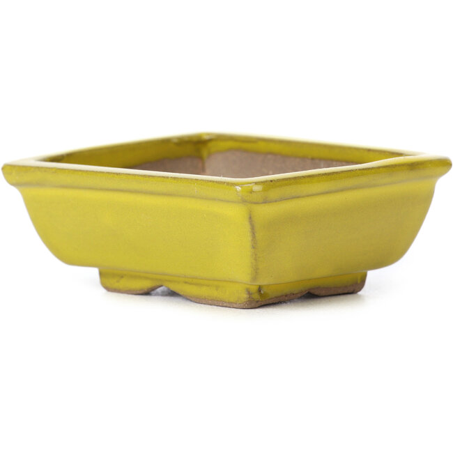 Maceta de bonsái amarilla rectangular de Seto - 80 x 65 x 30 mm