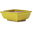 Rectangular yellow bonsai pot by Seto - 80 x 65 x 30 mm