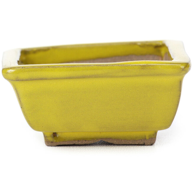 Pot à bonsaï rectangulaire jaune par Seto - 80 x 65 x 30 mm