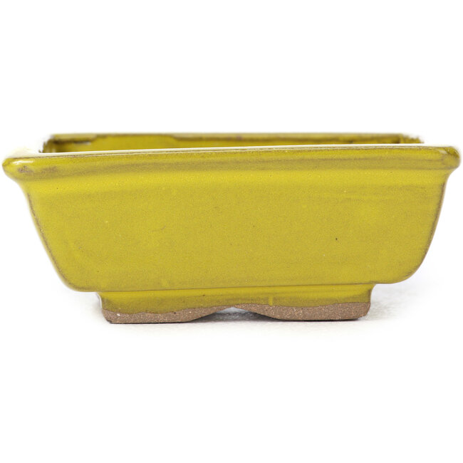 Vaso bonsai giallo rettangolare di Seto - 80 x 65 x 30 mm