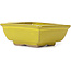 Rectangular yellow bonsai pot by Seto - 80 x 65 x 30 mm