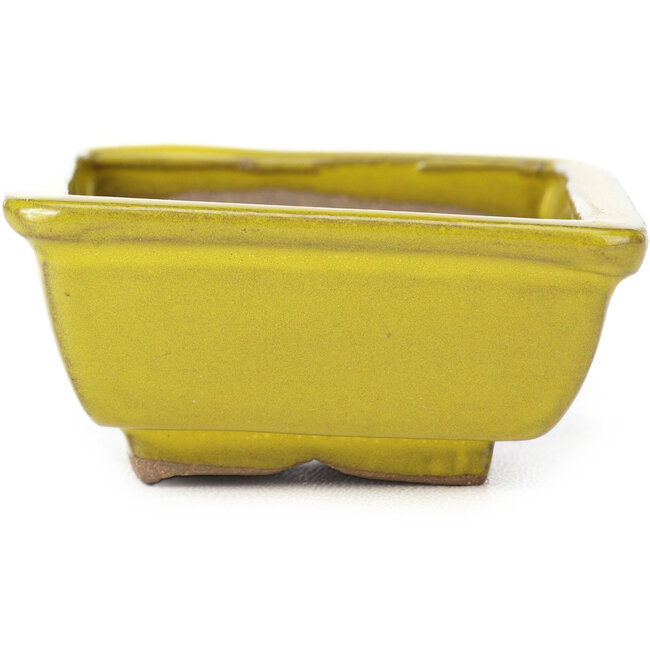 Pot à bonsaï rectangulaire jaune par Seto - 80 x 65 x 30 mm