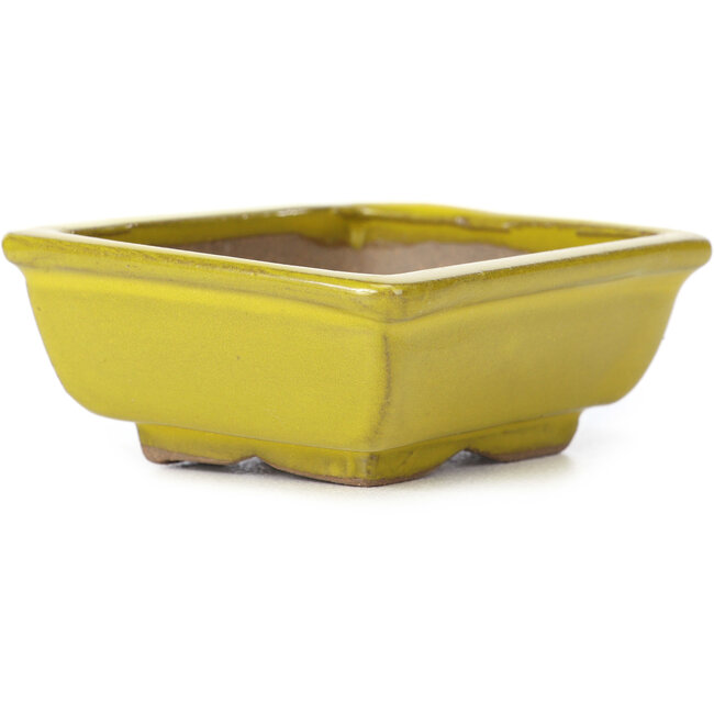 Pot à bonsaï rectangulaire jaune par Seto - 80 x 65 x 30 mm