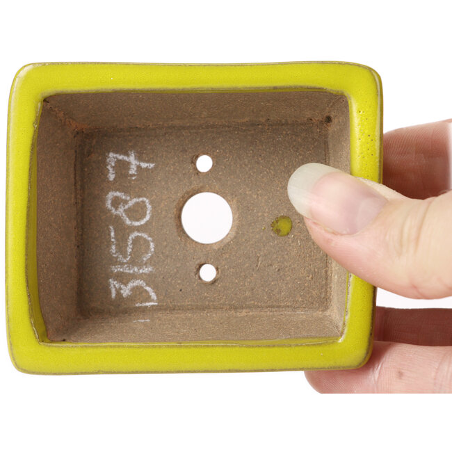 Pot à bonsaï rectangulaire jaune par Seto - 80 x 65 x 30 mm