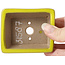 Maceta de bonsái amarilla rectangular de Seto - 80 x 65 x 30 mm