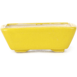 Seto 70 mm rectangular yellow bonsai pot by Seto, Japan