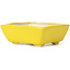 Pot à bonsaï rectangulaire jaune par Seto - 70 x 60 x 25 mm
