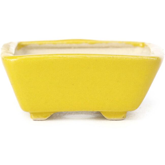 Vaso bonsai giallo rettangolare di Seto - 70 x 60 x 25 mm