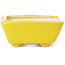Pot à bonsaï rectangulaire jaune par Seto - 70 x 60 x 25 mm
