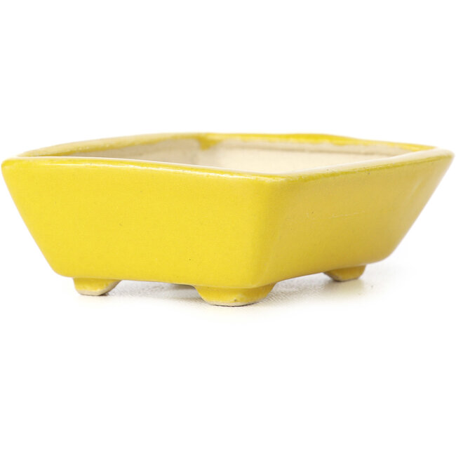Rectangular yellow bonsai pot by Seto - 70 x 60 x 25 mm