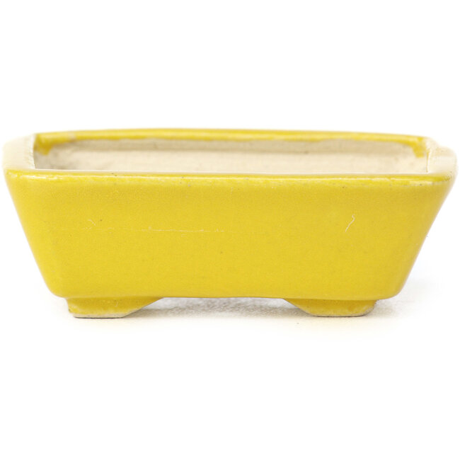 Vaso bonsai giallo rettangolare di Seto - 70 x 60 x 25 mm