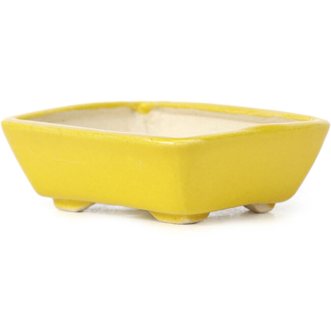 Rectangular yellow bonsai pot by Seto - 70 x 60 x 25 mm