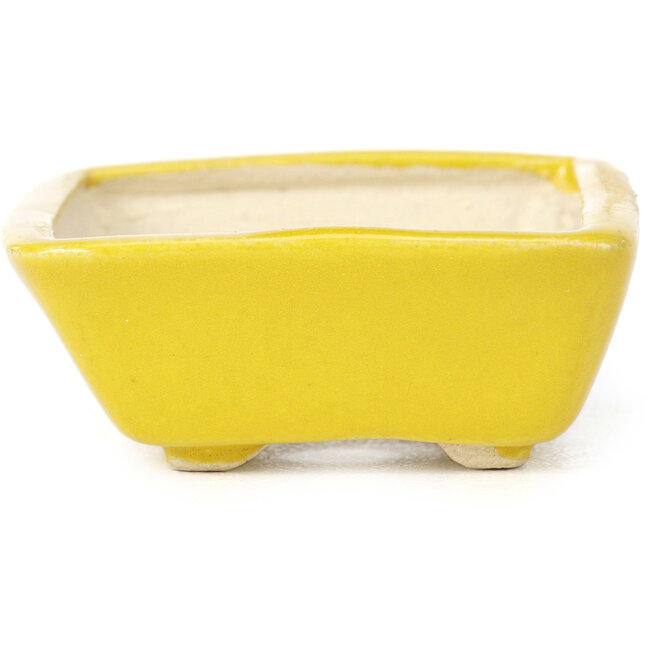 Maceta de bonsái amarilla rectangular de Seto - 70 x 60 x 25 mm