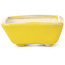 Pot à bonsaï rectangulaire jaune par Seto - 70 x 60 x 25 mm