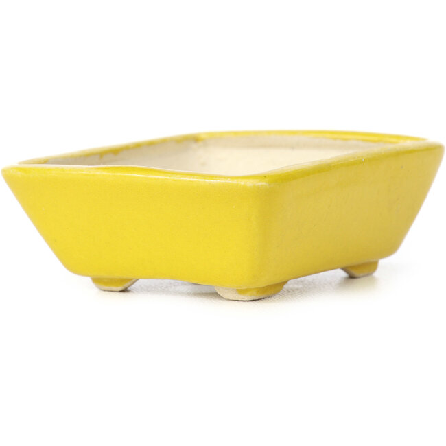 Maceta de bonsái amarilla rectangular de Seto - 70 x 60 x 25 mm