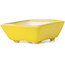 Pot à bonsaï rectangulaire jaune par Seto - 70 x 60 x 25 mm