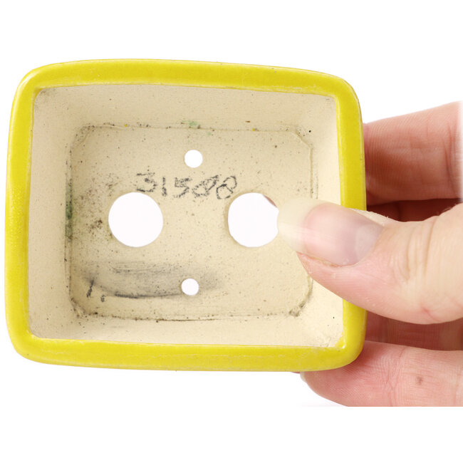 Pot à bonsaï rectangulaire jaune par Seto - 70 x 60 x 25 mm