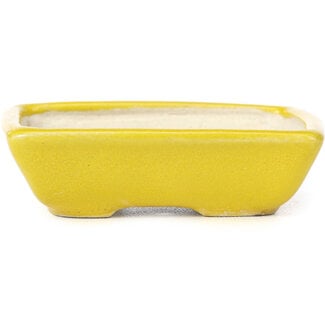 Seto 85 mm rectangular yellow bonsai pot by Seto, Japan