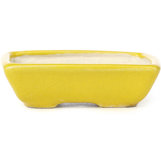 Pot à bonsaï rectangulaire jaune par Seto - 85 x 70 x 25 mm