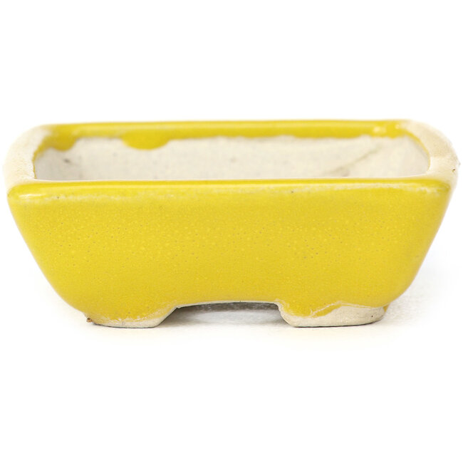 Pot à bonsaï rectangulaire jaune par Seto - 85 x 70 x 25 mm