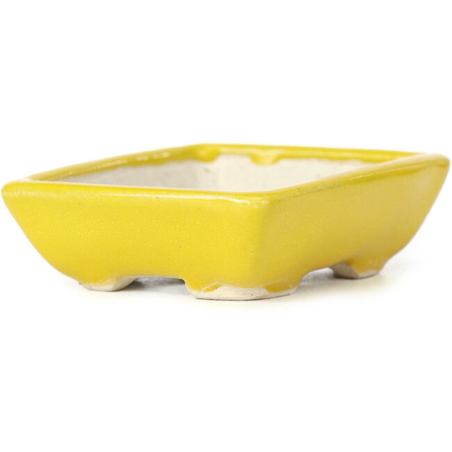 Pot à bonsaï rectangulaire jaune par Seto - 85 x 70 x 25 mm