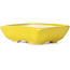 Pot à bonsaï rectangulaire jaune par Seto - 85 x 70 x 25 mm