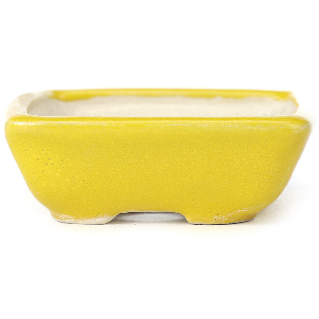 Vaso bonsai giallo rettangolare di Seto - 85 x 70 x 25 mm
