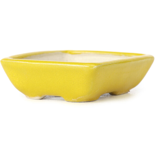Rectangular yellow bonsai pot by Seto - 85 x 70 x 25 mm