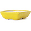 Pot à bonsaï rectangulaire jaune par Seto - 85 x 70 x 25 mm