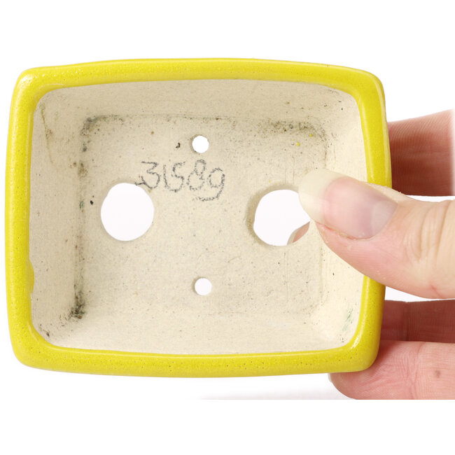 Maceta de bonsái amarilla rectangular de Seto - 85 x 70 x 25 mm